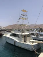 Blue Arrown Port Side after Storm.webp