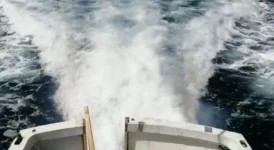 Blue Arrow Wake 20200711.webp