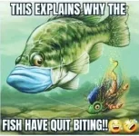 68837678-C2AC-49FA-8A91-571F5922256D.webp