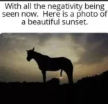577885D2-DC5C-4030-A6A1-AE7A21A0265A.webp