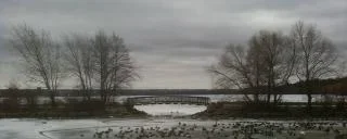 WalkwayBridge.webp