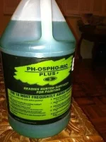 phopho bot.webp