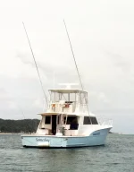 TANGALOOMA STERN.webp