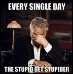29B4F9B0-CEC0-4C48-9B50-3E436337ABFB.webp