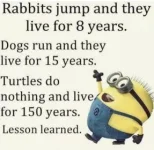 46934433-16A0-4F16-B8DF-45F6AB157C6E.webp