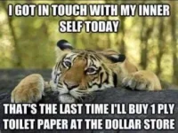 F68B04B9-9CF0-4B40-9E46-9AE229DAA266.webp
