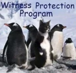4463D262-7BEF-41A6-B17F-682673D47F86.webp