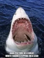 684CC4D5-1E69-4060-A3B9-F8ED8AAEAB7E.webp