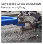 hammer.webp