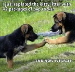 F77142E0-D6EC-41ED-B871-F00438A19979.webp