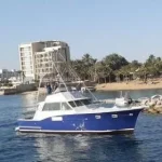 Blue Arrow at RYCJ 2020-10-20 at 4.52.49 PM.webp