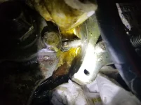 20201104_131024.webp 20201104_131024.webp