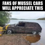 mussel car.webp