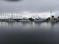 Inner Harbor 2.webp