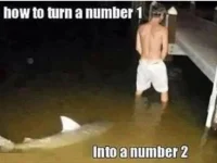 5B86B9EA-E8D1-42FF-AC26-57EF6665EC55.webp