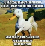 805047AA-42B3-48AF-BBBF-C1EE84B4B66B.webp