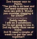 2672F46D-5F70-4806-8953-448835DAD0D2.webp