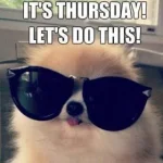 599C391B-AB9A-4680-8315-14FE08F07737.webp