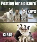 6C6DC28D-CC93-499A-BADE-72FDB9E6BDFC.webp
