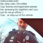 cops.webp