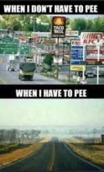 270591AD-088A-4C36-8E71-8CC4DFDB02B4.webp