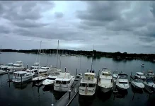 Screen Shot 2021-06-12 at 1.51.40 PM.webp