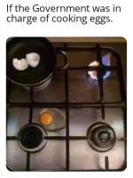 eggs.webp