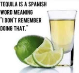 36C217AE-367B-4C73-956D-1A9564B50A9A.webp