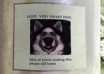 4A4665CD-9782-4E80-85ED-99E3E6AFB806.webp
