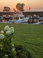 Guest Dock.webp
