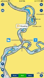 Shoaling.webp