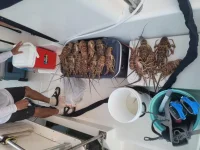 20210729_195421.webp