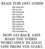 836C6C0E-293F-4E39-B8F3-116CF534A2DF.webp