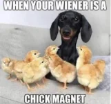 6E08E379-044D-4763-B381-E56B7EBDA016.webp