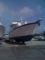 Taylor G Hauled for Irene.webp