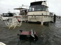 hurricane irene 018.webp
