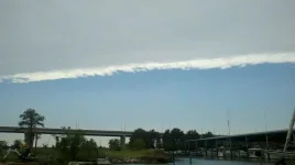 Irene departs.webp
