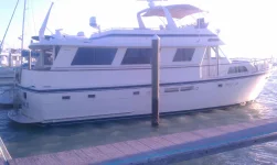 IMAG0613.webp