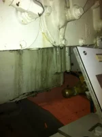Engines Aug 2012 3 (478x640).webp