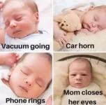 9FEA653B-831A-4516-A53C-B8E820C23CE0.webp