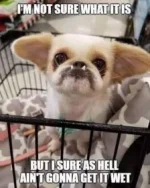 07B4F082-432C-4CD5-B4FD-752D7DF39C2A.webp