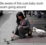 C278B1E9-2E30-4F4F-9E23-381E64952ABA.webp