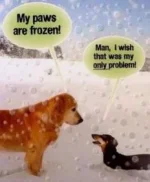 2E91D6DD-9906-4BD6-B45C-4A5F40F904E8.webp