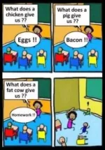 74E71F03-0752-4AE3-90B1-CA9F6A0A0EDD.webp