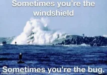 337AAFF3-B73B-4871-9613-071B433468E1.webp