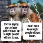 094A4FFB-1025-471B-8B4E-18F9259AAE2A.webp