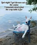 807C3129-5C94-44FD-9E3A-2028CF1F2B34.webp