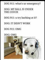 Ball under couch.webp