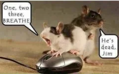 40D9DE1E-9693-4313-82DD-6603AE9948C2.webp