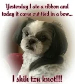01B58168-0B58-4887-8EEC-16C75D4FED7F.webp